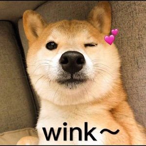 Meet your Posher, Faye